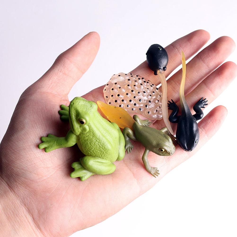 Modelo de Animal de Simulação Crianças Mini Animal Galo Formiga Sapo Tartaruga Mosquito Ciclo de Crescimento Figuras de Ação em PVC Boneca Brinquedo para