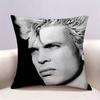 Singer BBilly Idol  Doublesided Print Pillow Case for Sofa Living Room Home Office Decor Protective Cover