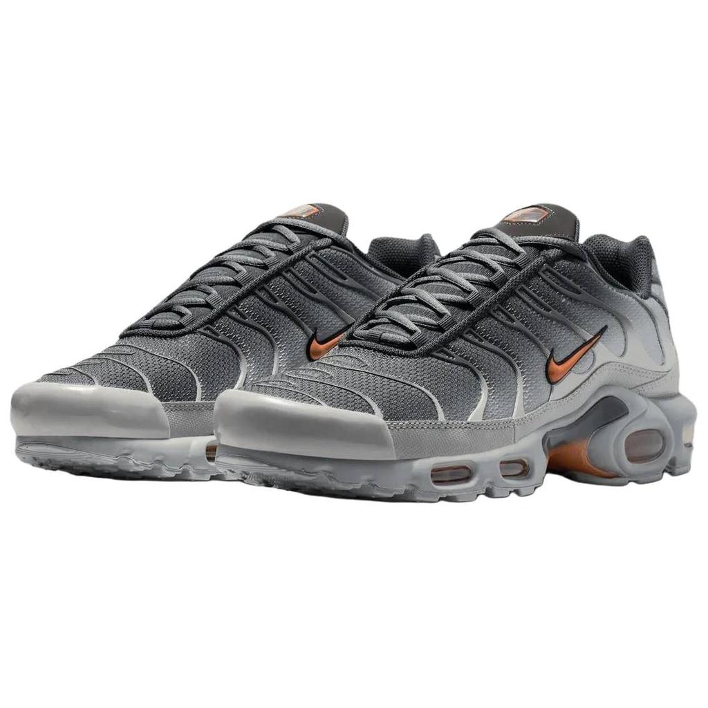 Nike Air Max Plus Bežecké topánky Unisex Sivá DM0032-037