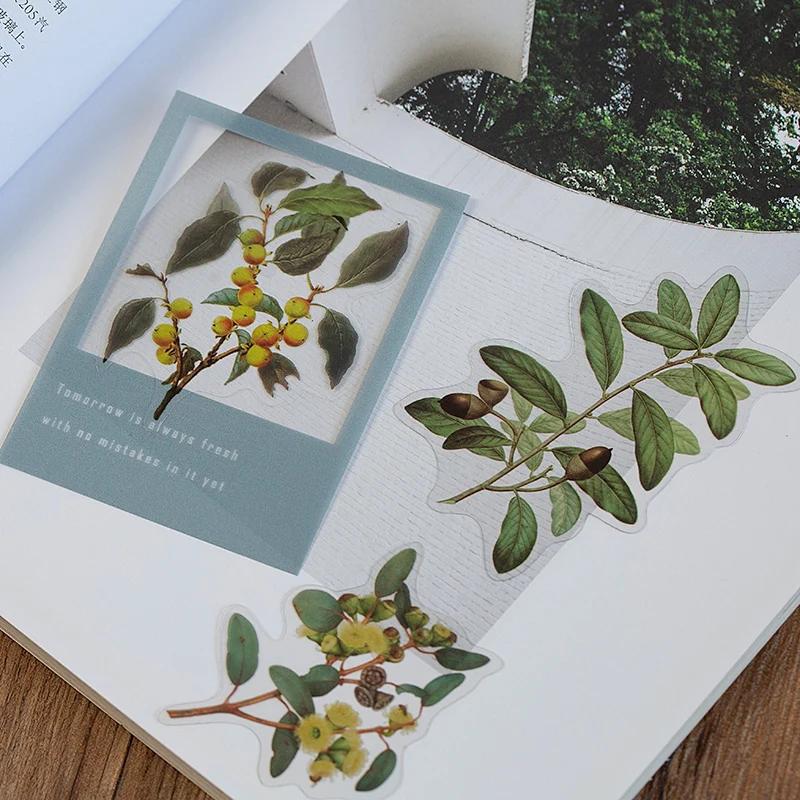 40pcs Natural Stickers Journaling Stationery Transparent PET Flowers Leaves Plants Deco Stickers