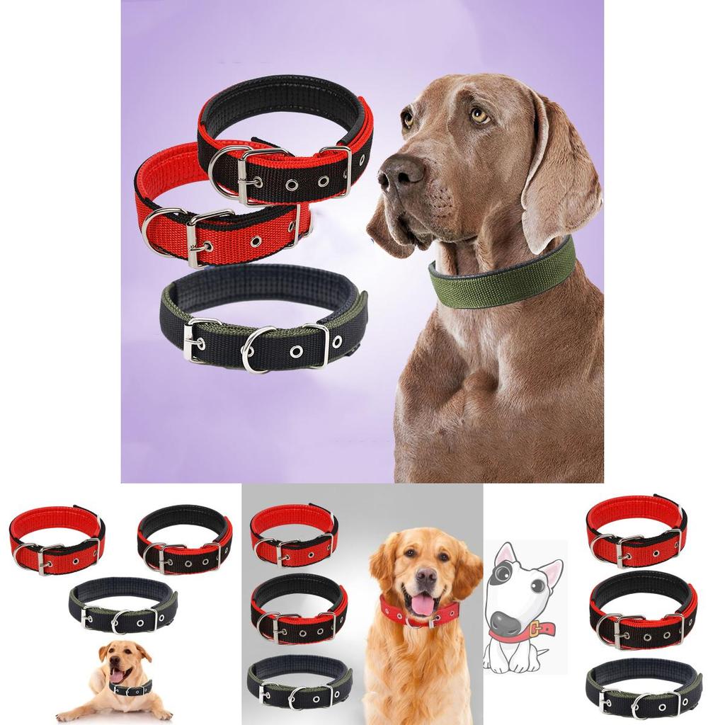 Pet Collar Made Of Pp Polypropylene Breathable And Comfortable Suitable For All Seasons