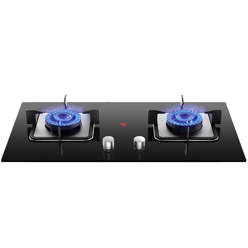Royalstar Double Burner Gas Cooktop CN plug (adapter included) Upgraded Copper Burner Cap - Best Value