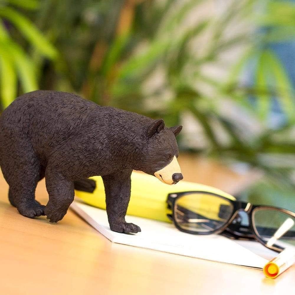 Safari WW Black Bear Wildlife 112589 Figure, Wonders, 1/10 Scale,