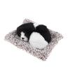 Adorable Stuffed Kid Toy Animal Dog Pet Model Home & decor - Border Collie