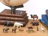 Calorata Animal Geography Zone 3 Figure 3D Encyclopedia of the Old North and New North Zones 12 Species Includes Realistic Figure Box Toy Educational