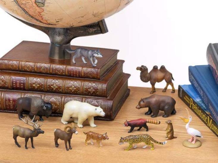 Calorata Animal Geography Zone 3 Figure 3D Encyclopedia of the Old North and New North Zones 12 Species Includes Realistic Figure Box Toy Educational