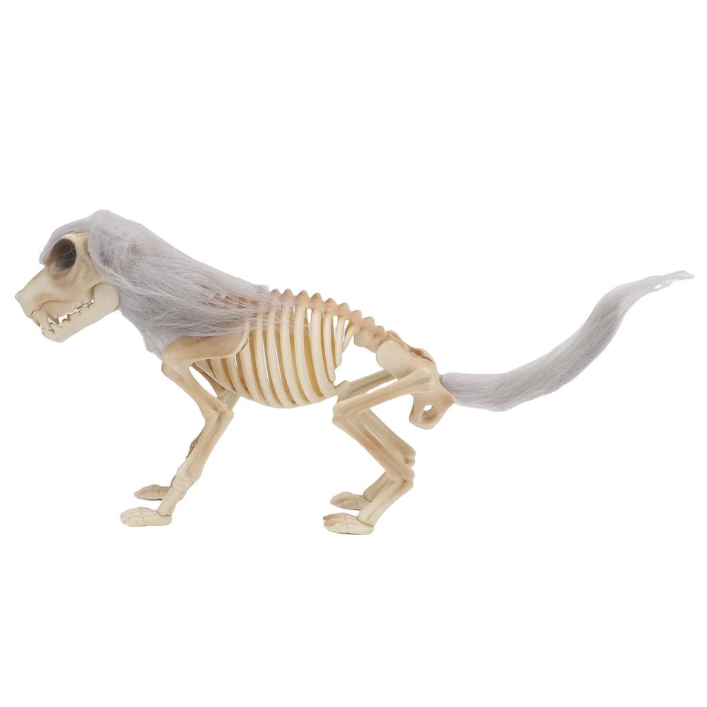    Standing Dog Skeleton Halloween Prop for   Decor  