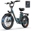 URLIFE E20 City Commuting Electric Bicycle 48V13Ah Battery 500W Motor Outdoor Riding E-Bike 20 Inch Fat Tires Electric Bike With TowSeat