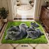 3D Printed Pomeranian Dog Mat Absorbent Animal Shaped Carpet Cute Diatom Mud Mat  Home Floor Decor