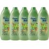Rejoice Dual-Effect Aloe Vera Moisturizing Shampoo