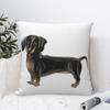 Dachshund Dog Pupy Pillow Case Wiener Sausage Doxie Cushion Cover Fashion Zippered Decorative Pillowcover for Home 4040cm
