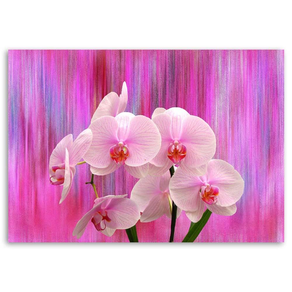 Canvas print, Orchids in purple and pink