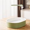 USB Electric Automatic Bird Bathtub with Resting Stick U-shaped Parrot Shower  Indoor Cage