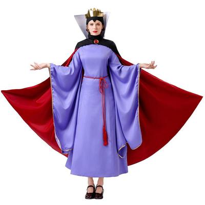 Fairy Tale Snow Queen Halloween Cosplay Costume