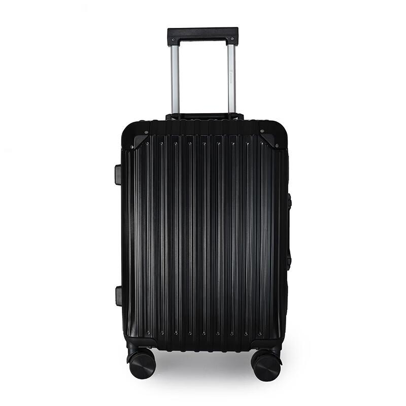 PLOVER 20-inch ABS Hardside Spinner Carry-on Luggage