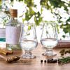 Toyo Sasaki Glass Tasting Individual Box Included Glass,