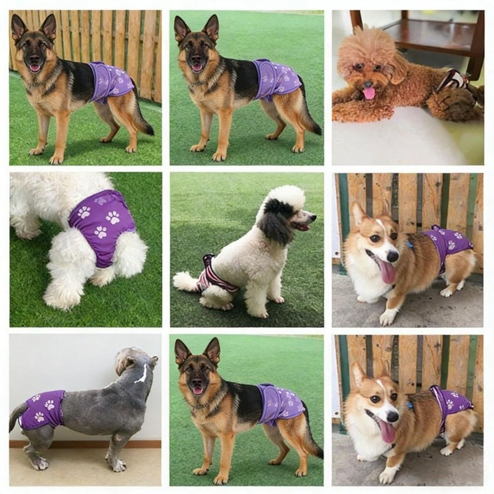 Waschbare Hündinnenwindeln Verstellbare Physiologische Hundehosen Hund Unterwäsche Haustier Inkontinenz