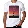 Rose At Sunset T-Shirt Quick-drying Plain Designer T Shirt Men