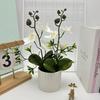 Artificial Plastic Phalaenopsis Flower Bonsai For Event Decoration Home Styling