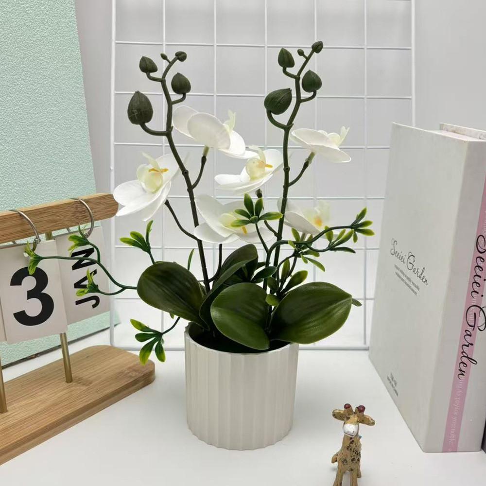 Artificial Plastic Phalaenopsis Flower Bonsai For Event Decoration Home Styling