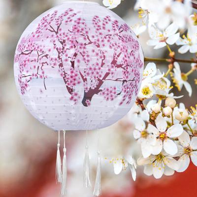 Oświetlenie – Lampki i oświetlenie świąteczne