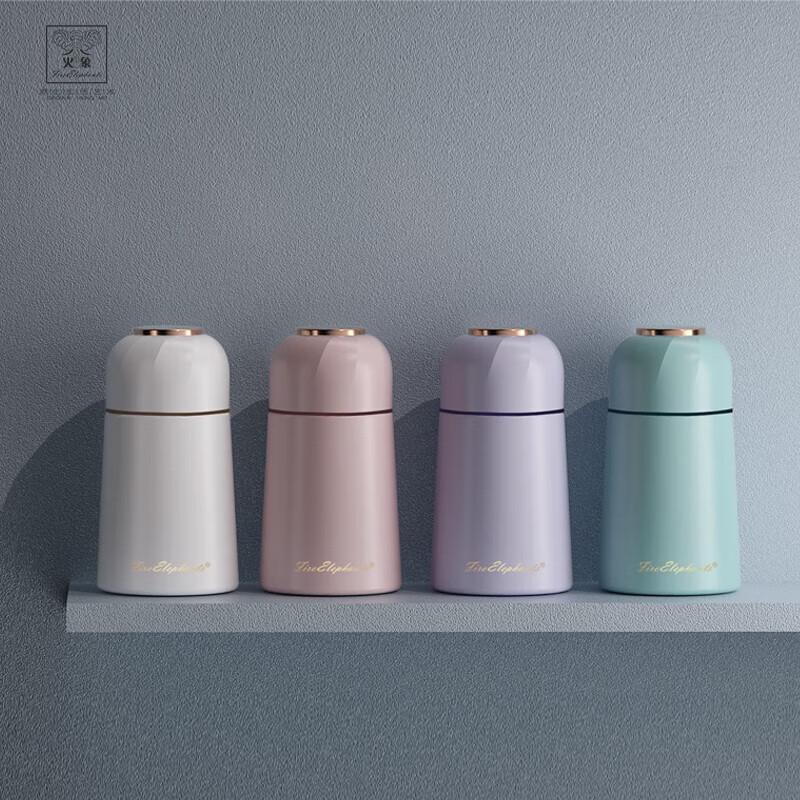 Fire Elephant Paladin 280ML Insulated Bottle