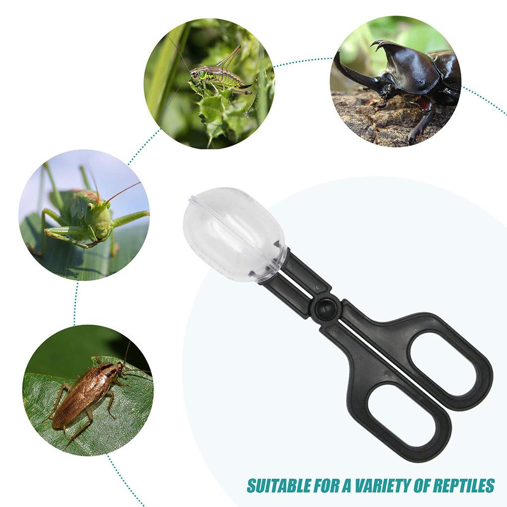 Portable Scissor-Type Transparent Queen Bee Catcher