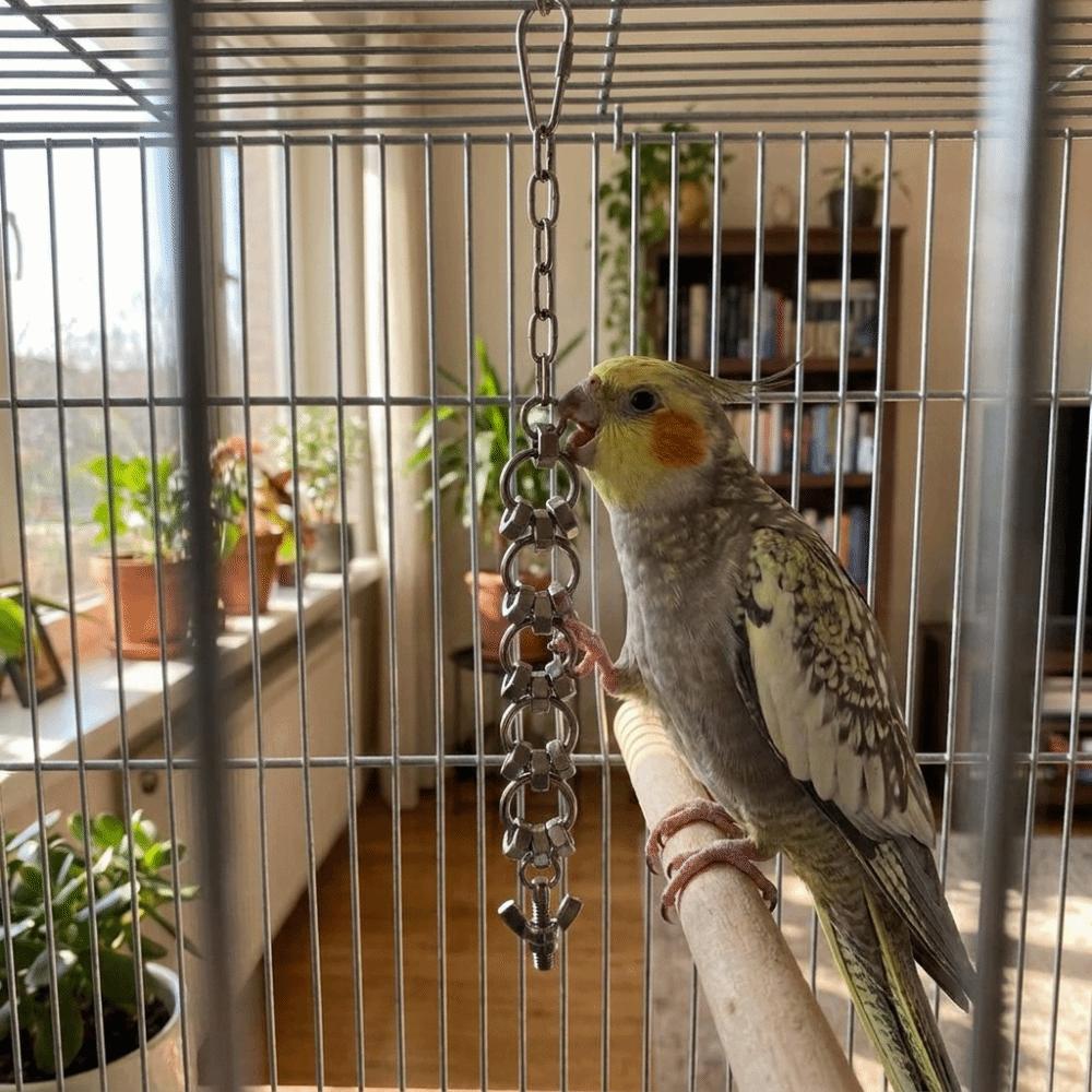 Wear-resistant Parrot Gnaw Toy Stainless Steel Bird Cage Toy Hanging Molar Toy Development Puzzle