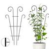 Plant Climbing Frame Rattan Bracket Vine Climb Rack