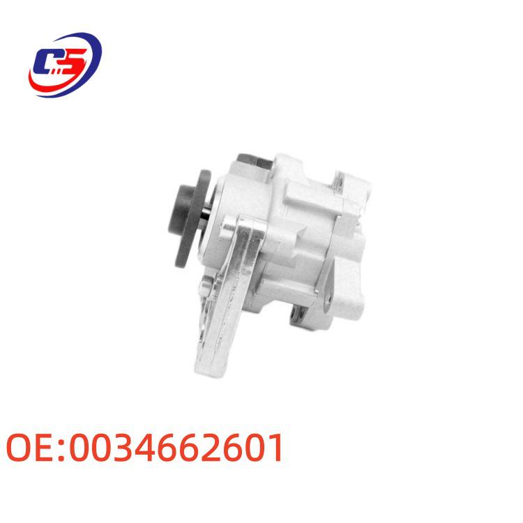 Auto Parts: Power Steering Pump 0034662601 for Mercedes-Benz W163/W220
