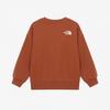 The North Face Kids Animate Sweatshirt Dark Orange Nm5mr55t