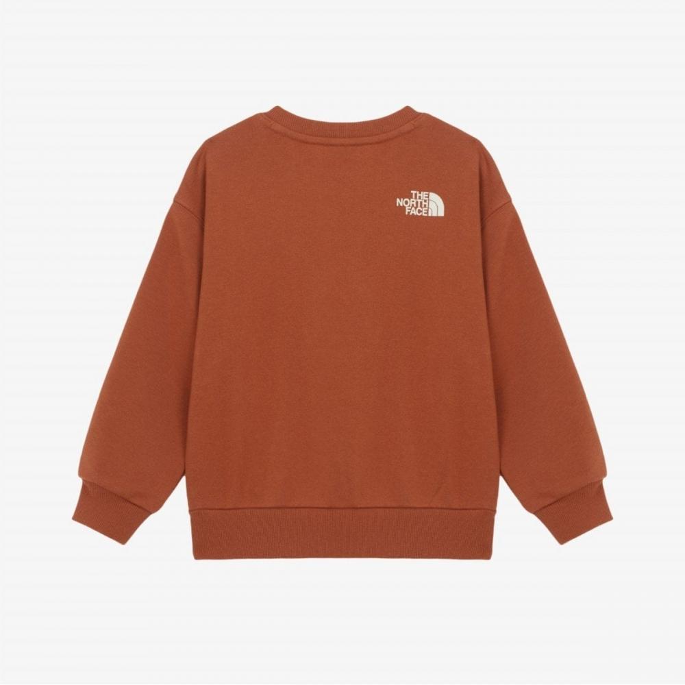 The North Face Kids Animate Sweatshirt Dark Orange Nm5mr55t