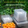 Recipientes para alimentos – Conservação de alimentos