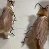 Cat Cosplay Dress Up Cockroach Costume Pet Breathable Clothing Funny Party Decor Outfit Uniform Pet Supplies