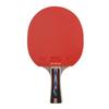 Dubbel Fisk Bordtennisracket Set med Bollar