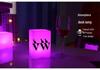 LED Ice Bucket with Logo - Illuminated Champagne and Wine Holder for Events and Exhibitions
