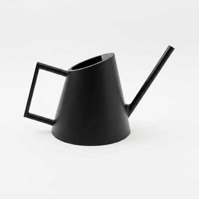 Decorative Black Watering Can for Watering Plants and Flowers