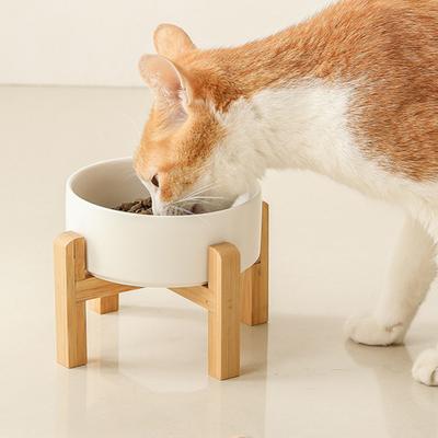Katzen – Näpfe & Tränken für Katzen