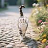 Sturdy Cat Head Cover Ball-shaped Pet Protective Helmet Paw Cover Anti-bite Mask  Prevent Licking