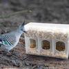Transparent Pigeon Feeding Box ABS Bird Food Container Durable Auto Bird Hanging Box  Garden Decor