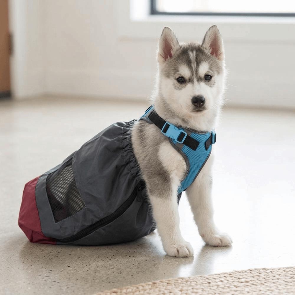 Soft Lining Pet Sling Bag Adjustable Size Paralyzed Pet Bag Rear Leg Support Bag Pet Mobility Aid
