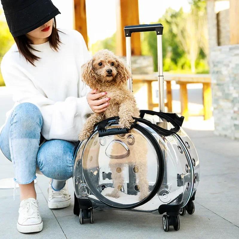 Tragbare Multifunktionale Haustier-Trolley-Box Sichtbare Transport-Katzenboxen Bequemer Transparenter Korb Reise-Tragetasche für Katzen