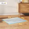 Set of 100 6-Layer Non-Woven, Paper, and PE Dog Toilet Pads, 45 x 30 cm, Blue and White