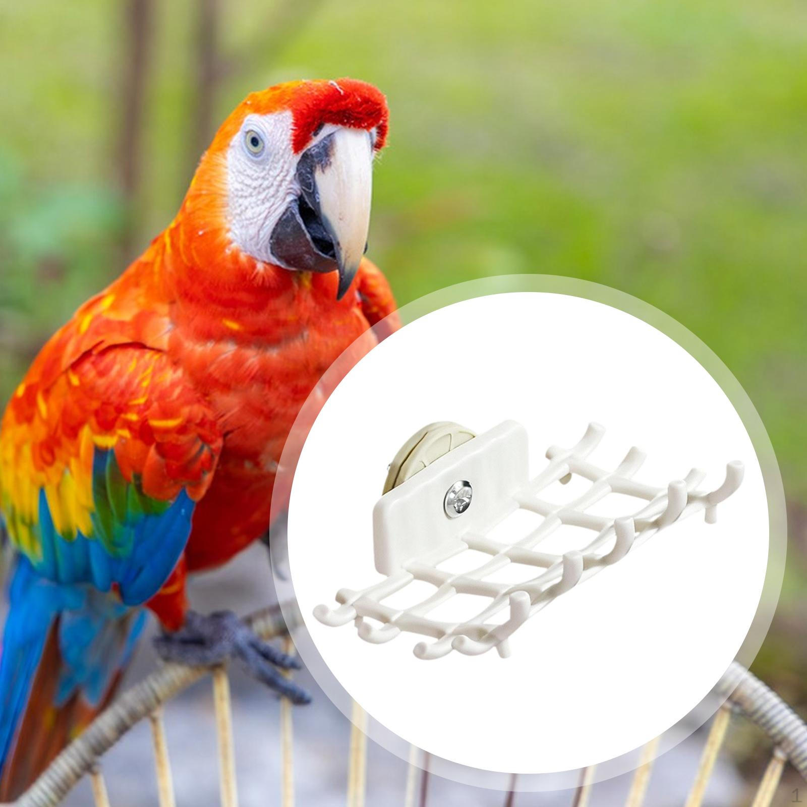 Жердочка для попугая Стенд Легко чистить Аксессуары для клетки Сетчатый дизайн Птицы Птица для кореллы