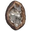 Resin Squirrel Garden Statue Tree Hole Statues Gift Outdoor Courtyard Coffee Shop Ornaments Sculpture Art Decoration