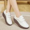 Women Loafers Platform Chunky Lady Summer Casual Black Office Lady Thick Sole Height Increase Shake Shoes