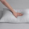 Mercury Ningyi Antibacterial Hemp Pillow Pair