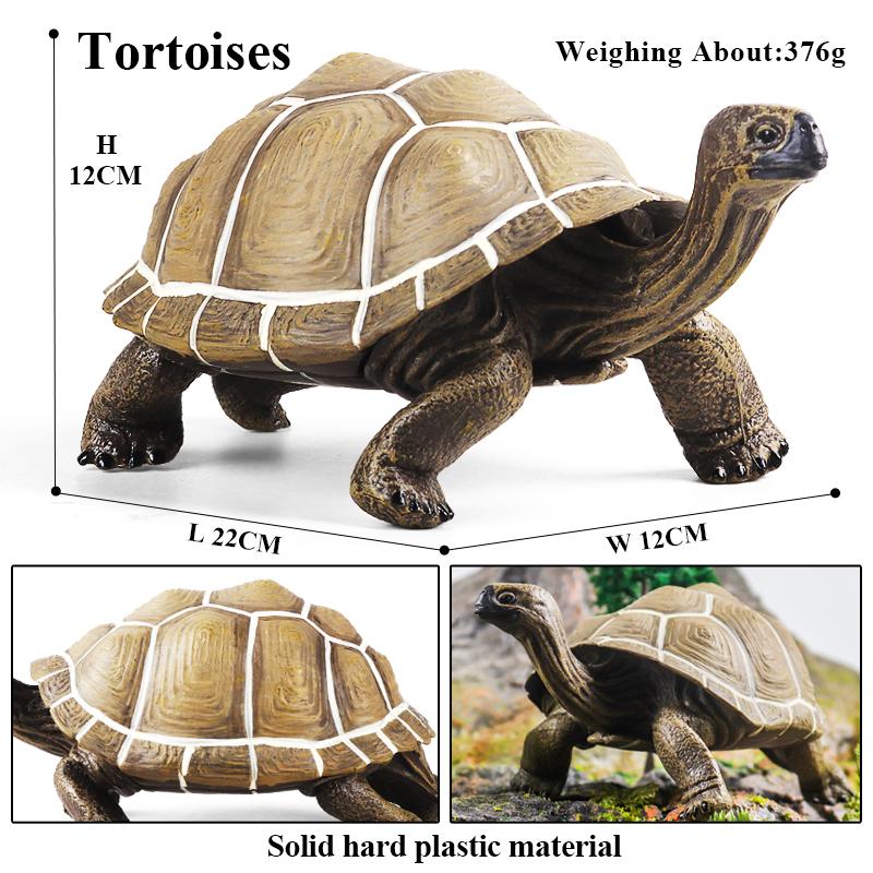 Oenux Ocean Animals Leatherback Tortoise Turtle Growth Cycle Sea Life Model Figurines Action Figures PVC Education Kid Toy Gift