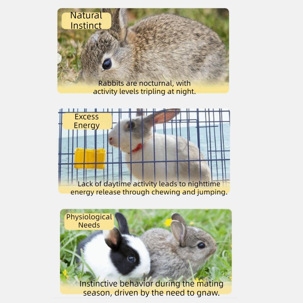 Simulated Buttocks Rabbit Soothing Ball Comfortable Hamster Venting Ball  Small Animal