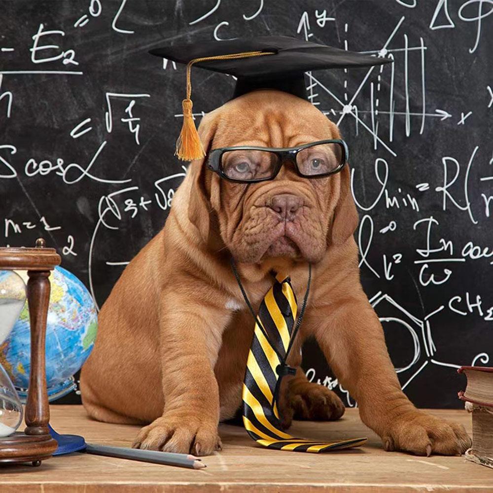 Pet Dog Cap Puppy Dr. Hat Dog Graduation Cap Student Tassel Academic Cap Pet Creative Party Accessories for All Sized Dogs Cats